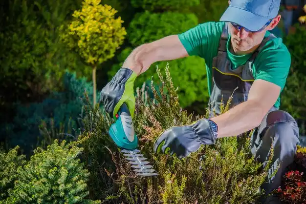 landscaping services Sayville
